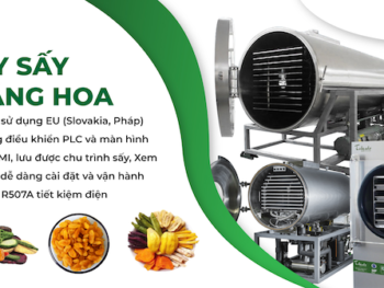Bí kíp chọn mua Máy sấy thăng hoa chất lượng và giá rẻ