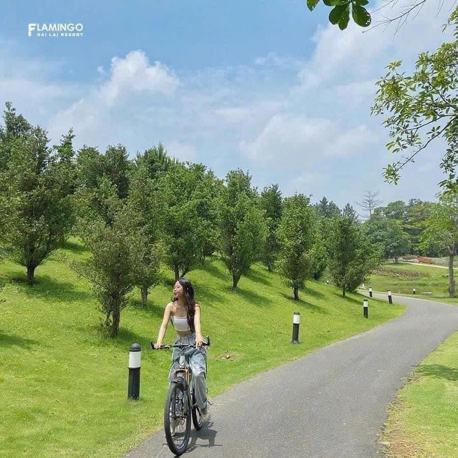 Top 5 Điểm Check-In “Gây Bão” Tại Flamingo Đại Lải Năm 2025