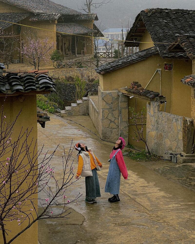 Tình Hình Giá Vé Đi Tham Quan Du Lịch Hà Giang Năm