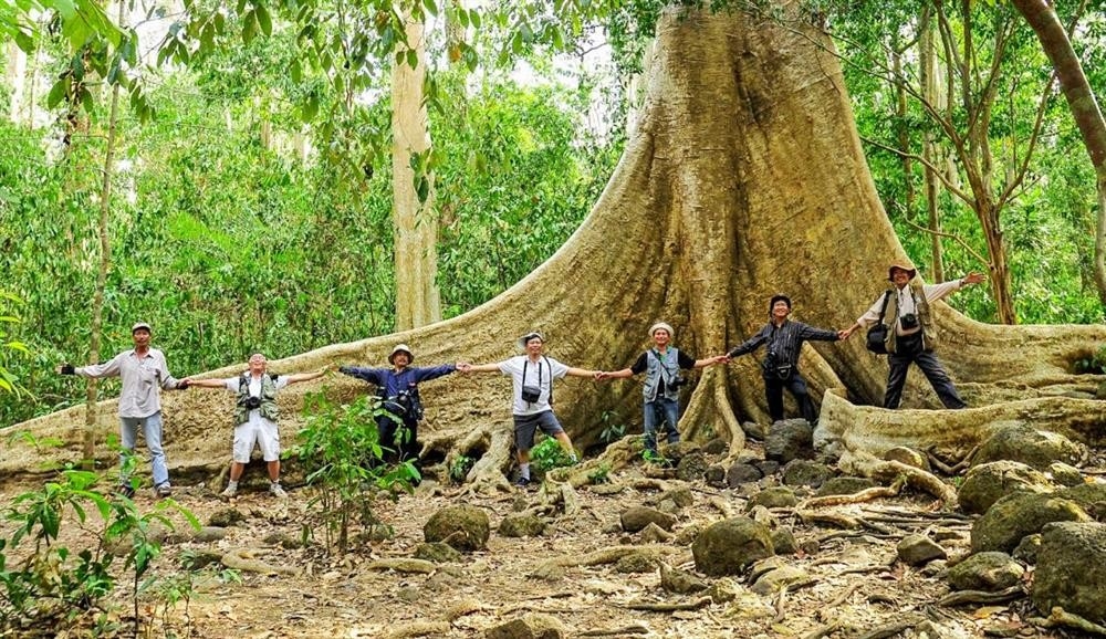Gợi Ý Những Điểm Lưu Trú Lý Tưởng Khi Du Lịch Nam Cát Tiên 2 Ngày 1 Đêm