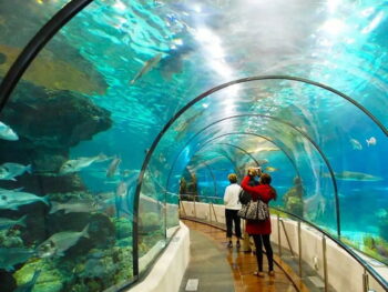 Gợi Ý Các Trải Nghiệm Nổi Bật Mà Bạn Nhất Định Phải Trải Nghiệm Khi Du Lịch Suối Tiên
