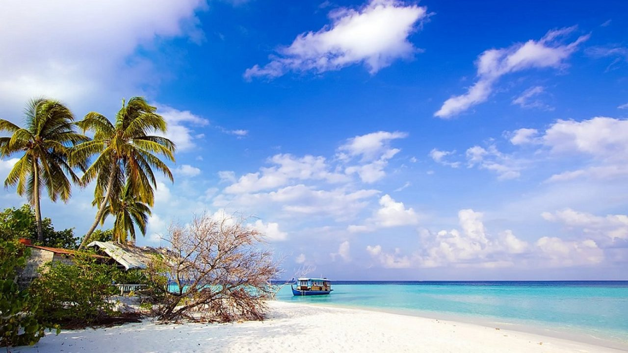 Thiên Đăng Booking Office – Niềm tin của quý khách hàng khi đặt vé máy bay giá rẻ và dịch vụ du lịch trọn gói